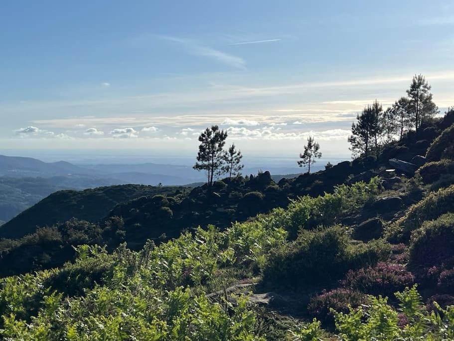 Casinha Do Sol - Natureza & Lazer - Serra Da Freita Arouca Zewnętrze zdjęcie