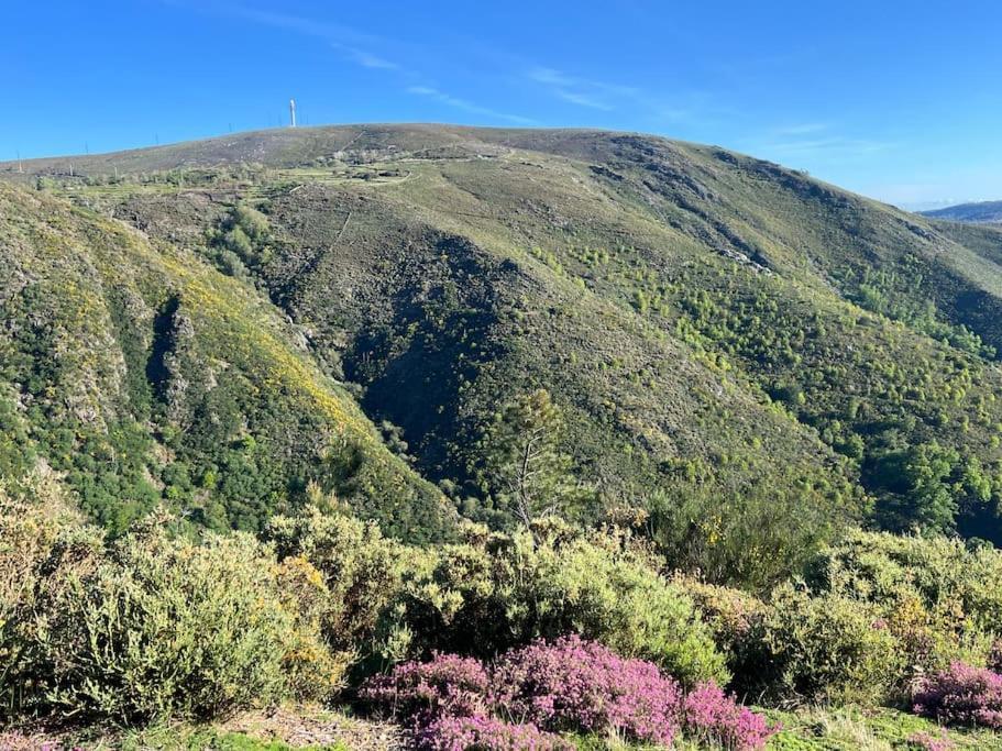 Casinha Do Sol - Natureza & Lazer - Serra Da Freita Arouca Zewnętrze zdjęcie